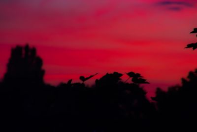 Silhouette trees against sky during sunset