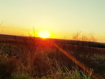 Scenic view of landscape at sunset