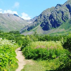 Landscape with mountain range in background