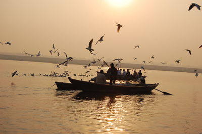 People looking at flock of birds flying over river during sunset