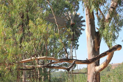 View of palm trees against sky