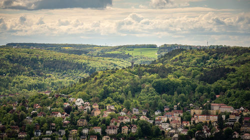 Trees and townscape against sky