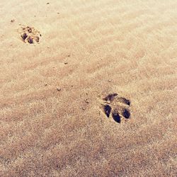 sand