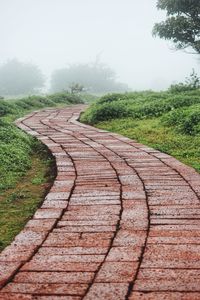 Surface level of footpath on field against sky