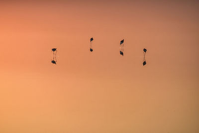 Scenic view of birds in lake