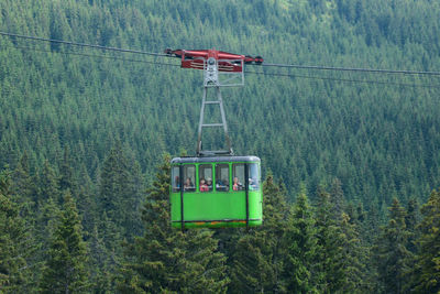 Overhead cable car in forest