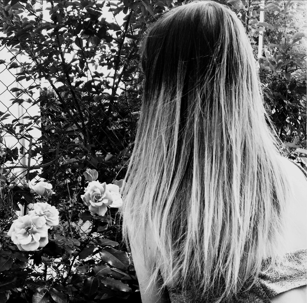 plant, hairstyle, flowering plant, flower, one person, hair, long hair, nature, rear view, adult, lifestyles, real people, women, leisure activity, tree, day, beauty in nature, growth, headshot, outdoors, human hair, straight hair