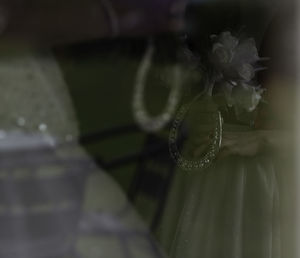 Close-up of flower against blurred background