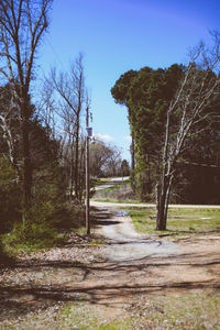 Road amidst trees in forest against clear sky