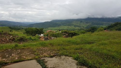Scenic view of field against sky