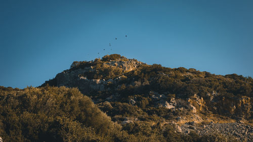 nature