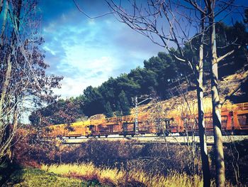 Bare trees against cloudy sky