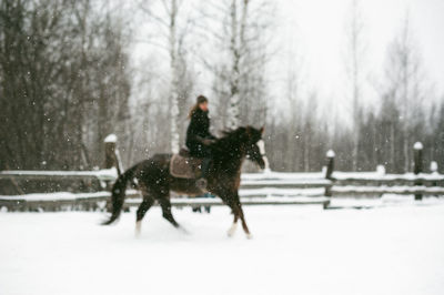 Woman riding horse on snow covered field