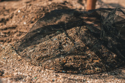 Close-up of rock