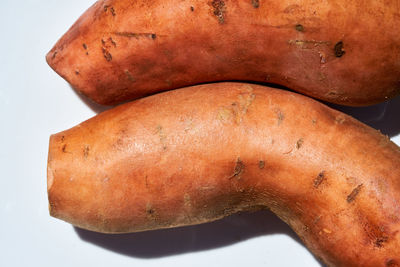 Close-up of bread against white background