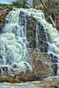 Scenic view of waterfall in forest