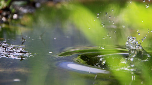 Water splashing in puddle