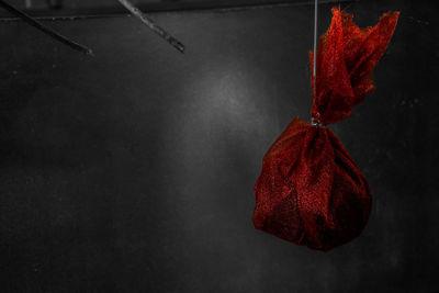 Close-up of red autumn leaves