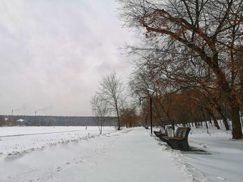 Bare trees on snow covered field against sky