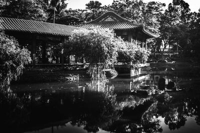 Reflection of trees in swimming pool