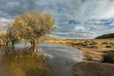 Scenic view of lake against sky