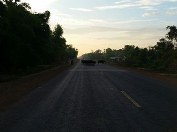 Empty road with trees in background