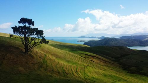 Scenic view of landscape against cloudy sky