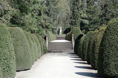 Footpath amidst trees in park