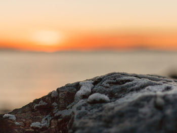 Close-up of rocks at beach against sky during sunset