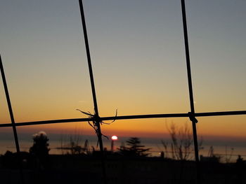 Silhouette of trees at sunset