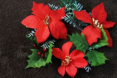 High angle view of red flowering plant