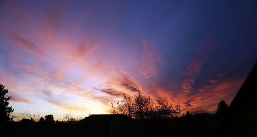 Silhouette of trees at sunset