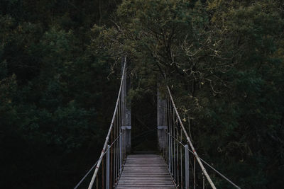 Footbridge amidst trees in forest