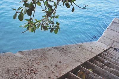 High angle view of swimming pool by lake