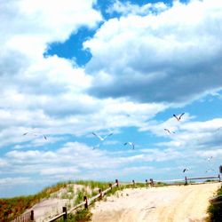 Scenic view of landscape against cloudy sky