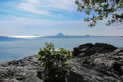 Scenic view of sea against sky