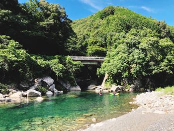 Scenic view of river by trees against sky