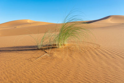 Scenic view of desert against clear sky