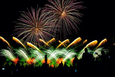 Fireworks exploding in night sky