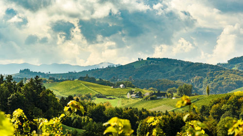 Scenic view of agricultural field against sky