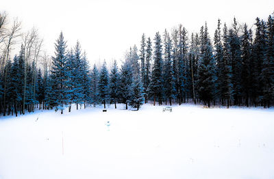 Scenic view of snow covered landscape