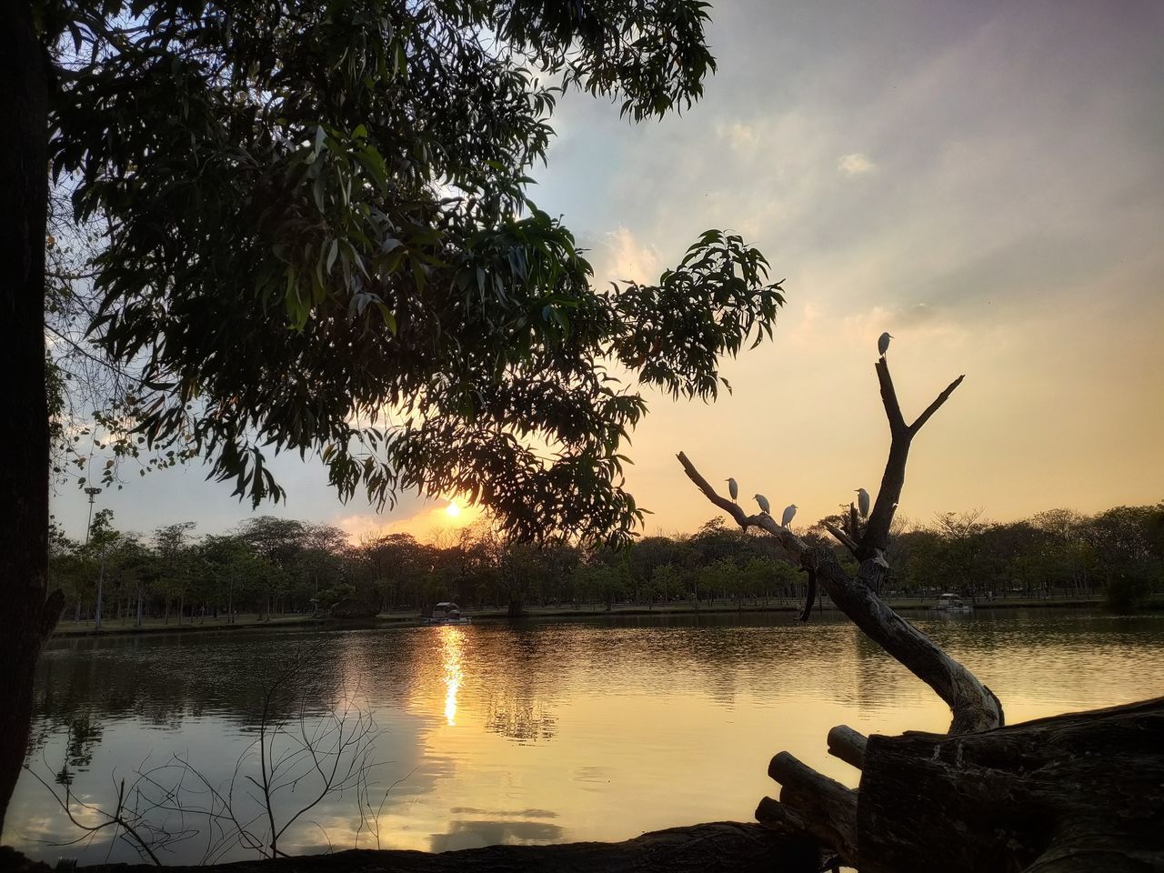SILHOUETTE TREES BY LAKE AGAINST SKY AT SUNSET