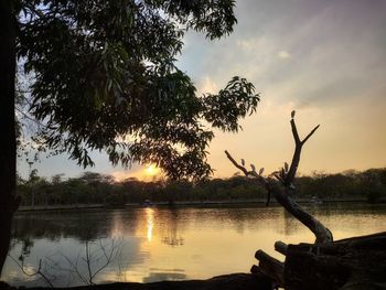 Silhouette tree by lake against sky during sunset
