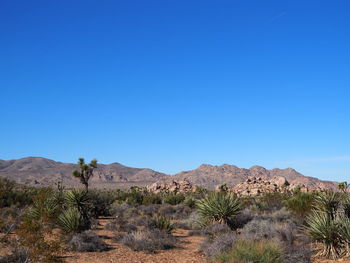 Scenic view of landscape against clear blue sky