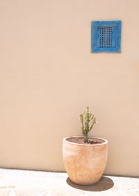 Cacti flowers in pots. minimal floral botanical aesthetic wallpaper. beige colours trends