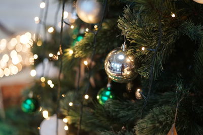 Illuminated christmas tree at night