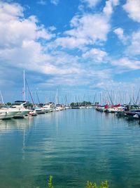 Sailboats moored in harbor