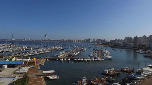 High angle view of boats moored at harbor