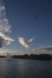 Birds flying over sea against sky