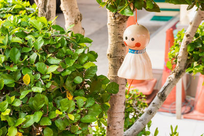 Chasing rain japanese doll hanging under tree on nature backgroud.